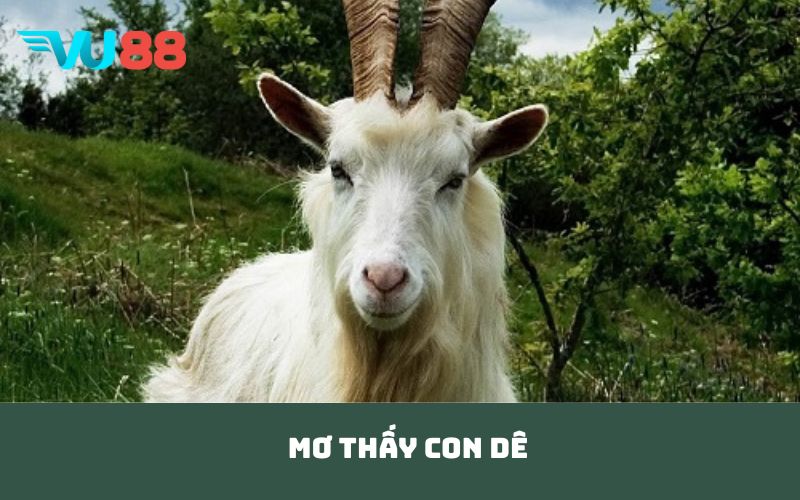 Mơ thấy con dê